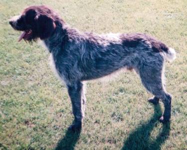 Hron od Pitné vody