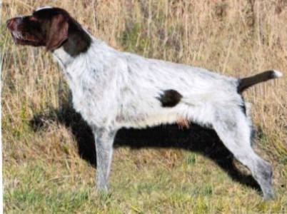 Crusoe Vallis Baptismi