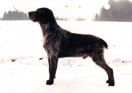 Egon z Kablaně