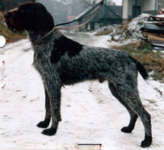 Bax Jezera