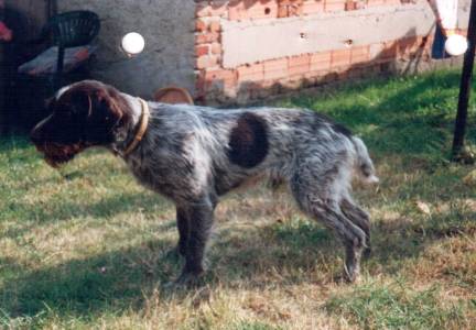 César z Tvořihráze