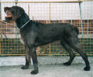 Emir ze Šimárniku